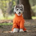 thumbnail image 5 of Dog Waterproof Winter Coat Comfortable Pet Gear for Cold Wet Weather Rain Garment Dog Raincoats, 5 of 9