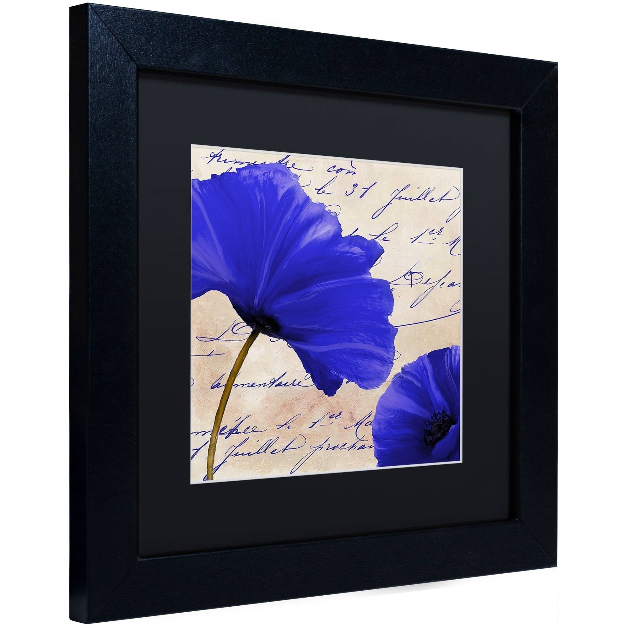 Trademark Fine Art "Coquelicots Bleues II" Canvas Art by Color Bakery Black Matte, Black Frame