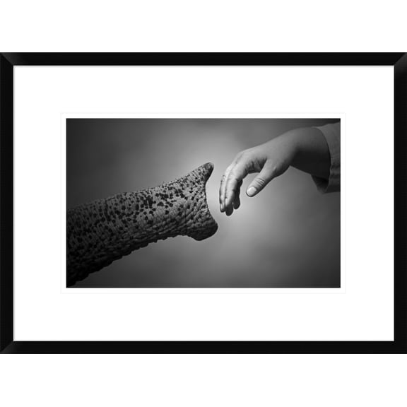 Global Gallery Antje Wenner-Braun 'Walking Together' Framed Wall Art