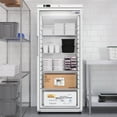 thumbnail image 4 of 30 in. 21 cu. ft. Commercial Auto Defrost Glass Door Reach-In Freezer in White (KM-RIF-1GD21C-A), 4 of 16