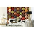thumbnail image 2 of Dimex Spice Bowls Wall Mural, 98.4-in by 147.6-in, 100.86 sq. ft., 2 of 2