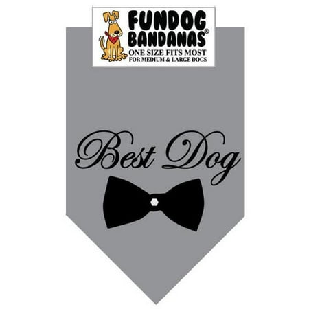 Fun Dog Bandana - Best Dog - One Size Fits Most for Med to Lg Dogs, gray pet