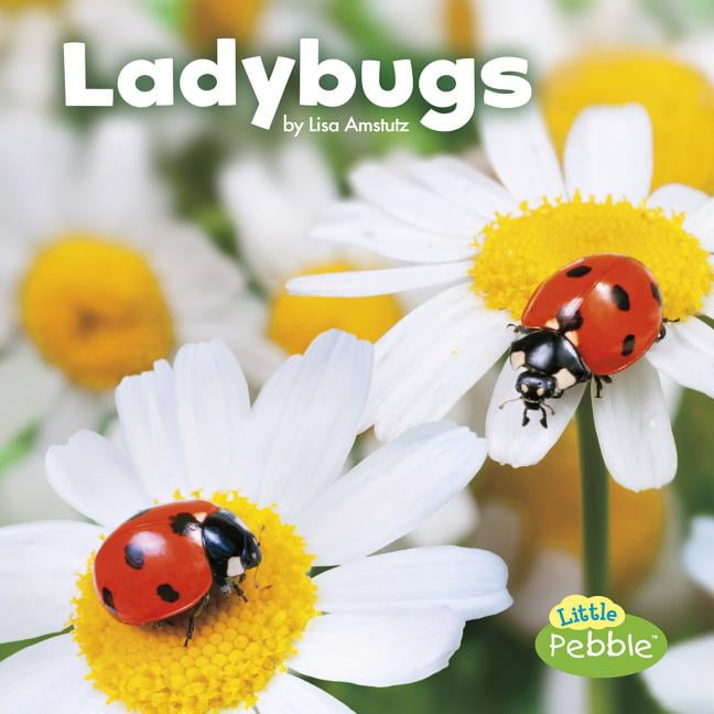 Little Critters Ladybugs, (Paperback)