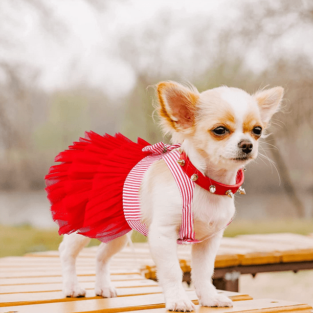 Vestidos para cachorritas shops