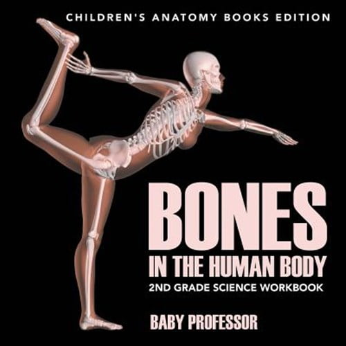 Pre-Owned Bones in The Human Body: 2nd Grade Science Workbook Children's Anatomy Books Edition (Paperback)