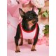 thumbnail image 2 of PETSIN Petsin Pink Heart Print Romantic Gradient Color Pet Cat & Dog Vest, 2 of 5