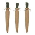 thumbnail image 2 of VHC Brands Spring in Bloom Bundle of 3 Carrots Natural, 2 of 3