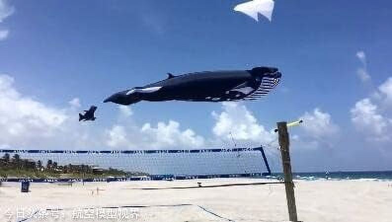 17M Kites Professional Giant Kites for Adults Whale Kite