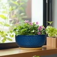 thumbnail image 2 of 8 Inch Succulent Planter Bowl Round Ceramic Pot with Drainage Hole & Bamboo Tray Shallow Flower Pots for Indoor Plants Cactus Blue, 2 of 8