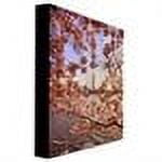 Trademark Fine Art "Cherry Blossoms at the Washington Monument" Canvas Art by Lois Bryan