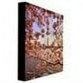 thumbnail image 4 of Trademark Fine Art "Cherry Blossoms at the Washington Monument" Canvas Art by Lois Bryan, 4 of 4