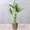 B, variant on PATLOLLAV 1 Pcs Artificial Green Plants Potted Decor, Realistic Fake Plants for Home Office Desk, Hotel Lobby, Living Room, Low-Maintenance Indoor Greenery for Modern Aesthetic Spaces