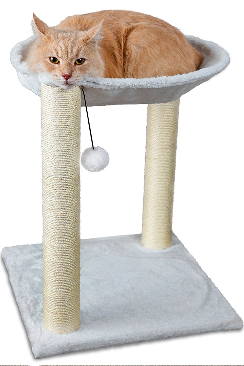 best cat tree house