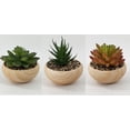 thumbnail image 1 of Ceramic pot with Succulents, 1 of 1