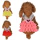 thumbnail image 1 of onlyliua Ofertas Semanales Vestido de Verano con Estampado de Malla y Volantes con Encaje para Mascotas y Gatos., 1 of 7