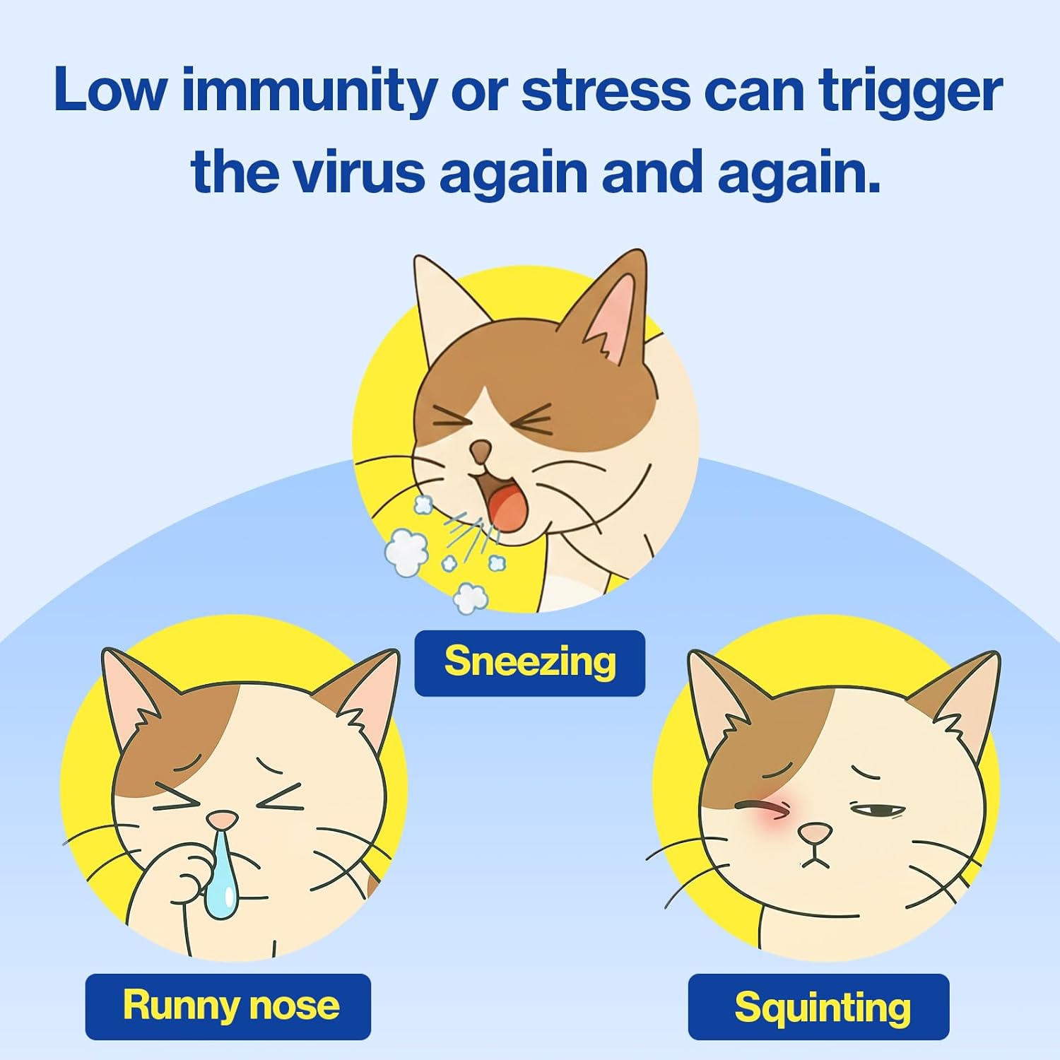 Doctor By FELYSIN L-lysine for Cats Lysine Supplements Immune Support Allergy Relief Sneezing Runny Nose Watery Eyes Respiratory Treatment with Beta-glucan, 30 Lickable Formula Individually Packaged