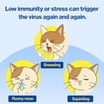 thumbnail image 5 of Doctor By FELYSIN L-lysine for Cats Lysine Supplements Immune Support Allergy Relief Sneezing Runny Nose Watery Eyes Respiratory Treatment with Beta-glucan, 30 Lickable Formula Individually Packaged, 5 of 6