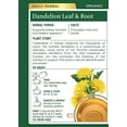 thumbnail image 5 of Traditional Medicinals Tea, Organic Dandelion Leaf and Root Tea, 16 Bags (Pack of 2), 5 of 5