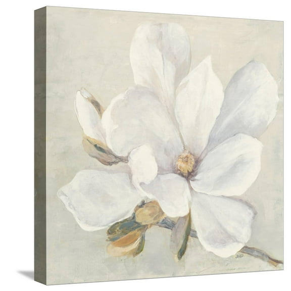 Art.com Serene Magnolia Stretched Canvas Print Wall Art by Julia Purinton, 16" x 16"