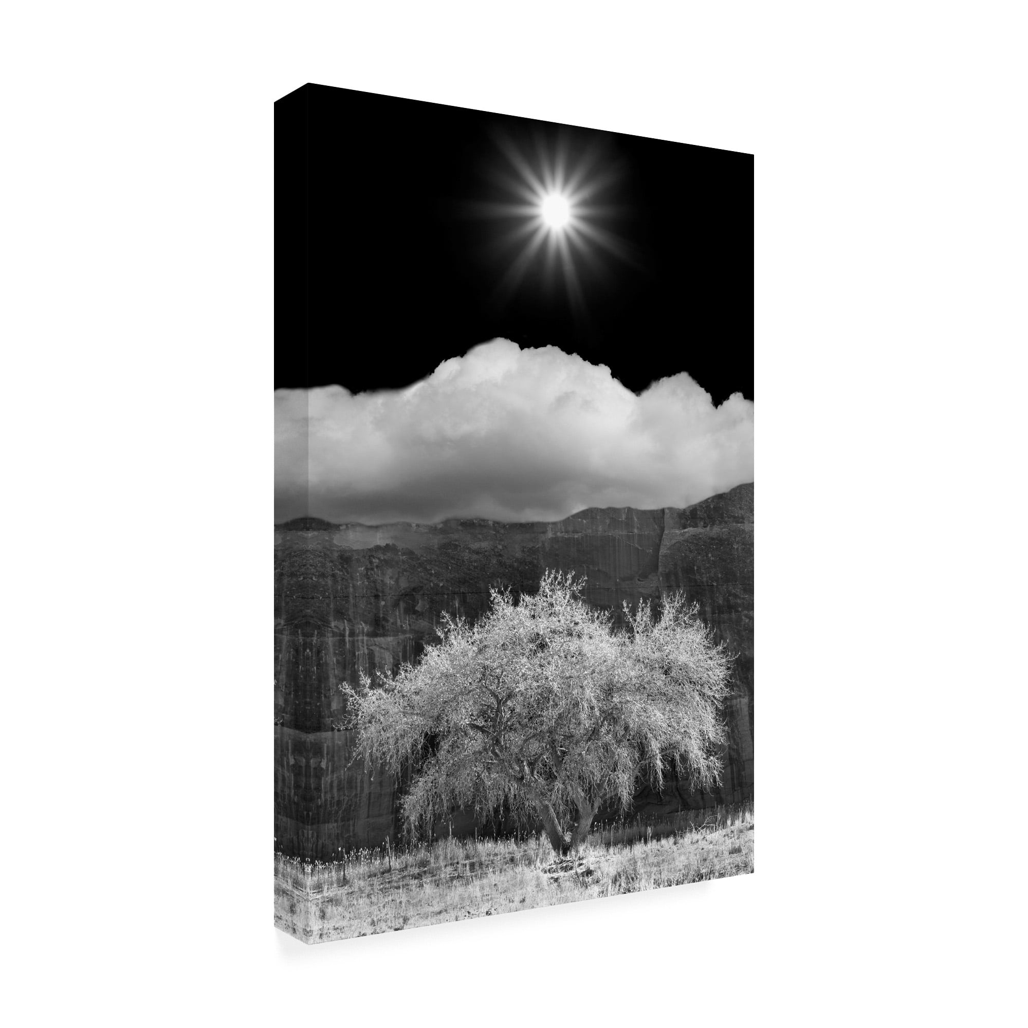 Trademark Fine Art 'Cottonwood And Sunbeams Canyon De Chelly Arizona' Canvas Art by Monte Nagler