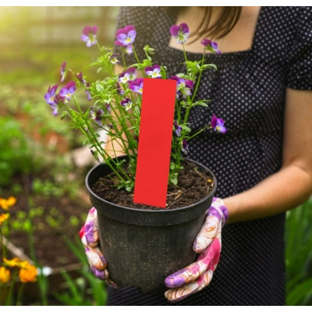 Etiquetas para Macetas BuyWeek 100 Piezas de PVC Marcadores para Plantas y Flores