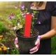 thumbnail image 1 of Etiquetas para Macetas BuyWeek 100 Piezas de PVC Marcadores para Plantas y Flores, 1 of 12