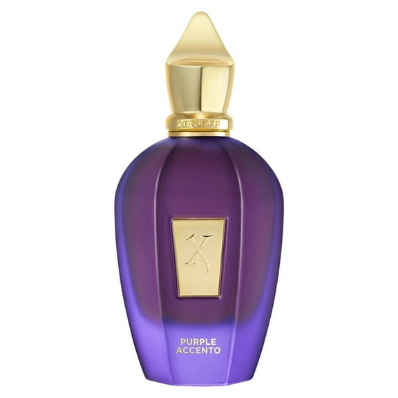 Xerjoff Unisex V Purple Accento EDP Spray 3.4 oz Fragrances 8054320904342