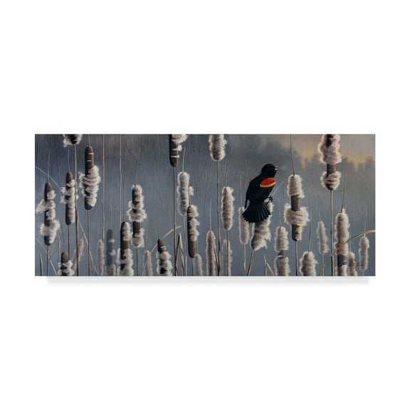 Trademark Fine Art 'Marsh Notes Red Wing Blackbird' Canvas Art by Wilhelm Goebel