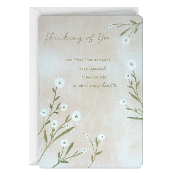Hallmark Sympathy Card (Someone Very Special)