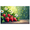 4A, variant on Strawberry Daisy Themed Banner Background Decor Party Supplies for Garden Parties Summer Gatherings Picnics and Photography Props