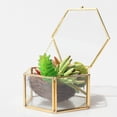 thumbnail image 2 of tón Cristal Geométrico Terrario Favores De Boda - 12.5 x 12.5 x 6 cm 125 x 125 x 6 cm Sunnimix Terrario geométrico moderno, 2 of 8