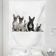 thumbnail image 1 of Bulldog Tapestry, Group of Young French Bulldogs with Expressions Animal Lover Photo, Fabric Wall Hanging Decor for Bedroom Living Room Dorm, 5 Sizes, Black White Beige, by Ambesonne, 1 of 1