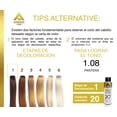 thumbnail image 2 of TINTE ALTERNATIVE CARE- color 1.08 PANTERA contenido de 90g Alternative Care 1.08 PANTERA, 2 of 5