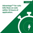 thumbnail image 6 of (3 pack) Advantage Topical Flea Treatment & Prevention For Small Cats 2-9 lbs. (2 Count), 6 of 10