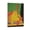 Frame-style, variant on Posters Painter Joan Miró Flame in Space And Nude Woman Abstract Art and Wall Art Picture Print Decor 20x30inch(50x75cm)
