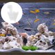 thumbnail image 4 of unbranded Fish Food Holder De Acrílico Para Peces Fácil Limpieza Y Uso, 4 of 8