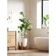 thumbnail image 5 of BEMAY 12" White Ceramic Planter with Wood Stand, Large Indoor Plant Pot and Flower Pot for Tall Plants and Houseplants, Mid Century Modern Decor, 5 of 10
