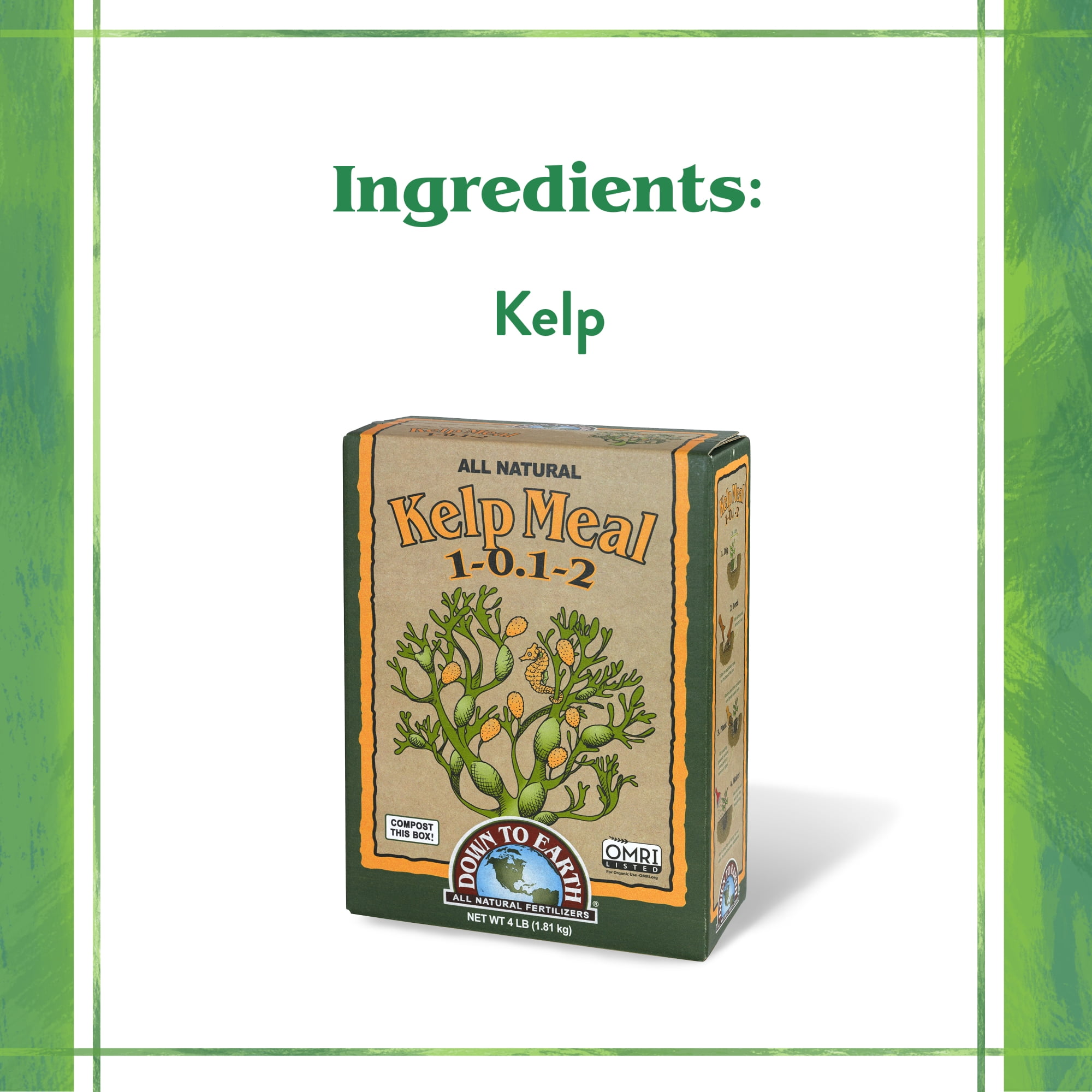 BFG Supply Kelp Meal Natural Fertilizer - 1-0.1-2 NPK, Slow Release - 4 Lb — Outdoor & Indoor Plant Use, Easy Application