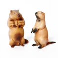thumbnail image 3 of Simulation Taupe Rodent Sauvage Opossum Tamias Marmotte Cochon d'Inde Volant Souris Squirrel Modèle Animal Décoration Figurines Jouets LZ, 3 of 7