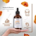 thumbnail image 2 of Aceite esencial HBNO California de incienso embotellado 120 ml, 2 of 6