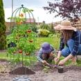 thumbnail image 5 of MOPHOTO XL Garden Trellis for Climbing Plants Outdoor, Tomato Cage Metal Obelisk Trellis Plant Trellis for Potted Plant, Flower Trellises Plant Cages Peony Cages Plant Support (Green, 3 Pack), 5 of 8