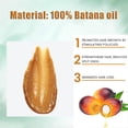 thumbnail image 5 of Aceite de batana orgánico puro sin refinar para estimular el crecimiento del cabello, controlar el encrespamiento y dar brillo, 1 unidad., 5 of 5