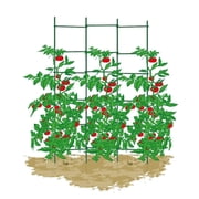 EcoStake Garden Stakes for Plants Vegetable Fence Post 1/4x48, Pack of 40 Fiberglass Stakes Tree/Cucumber/Tomato/Bean Pole Stake Rust-free