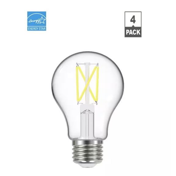 EcoSmart 60-Watt Equivalent A19 Dimmable Clear Glass Filament LED Light Bulb 3000K (4-Pack)