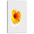thumbnail image 2 of Croquis Aquarelle Jaune Coreopsis - Impression sur Toile Florale, 2 of 4