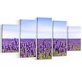 thumbnail image 2 of Close View of Lavender Flower Field - Oversized Landscape Wall Art Print, 2 of 3