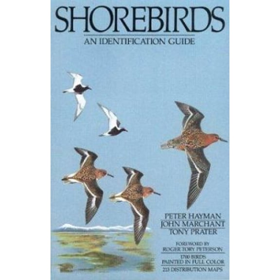 Pre-Owned Shorebirds: An Identification Guide to the Waders of the World (Paperback) 0395602378 9780395602379