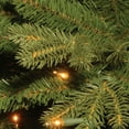 thumbnail image 2 of National Tree Company 4.5 ft. Avalon Spruce Medium Tree with Clear Lights, 2 of 3