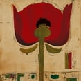 thumbnail image 2 of Richter-Armgart, Rose 26x26 White Modern Wood Framed Museum Art Print Titled - Blutenanatomie: Mohnblumen, 2 of 4
