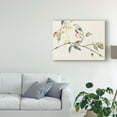 thumbnail image 3 of Trademark Fine Art 'Leaf Branch II' Canvas Art by Jennifer Goldberger, 3 of 4